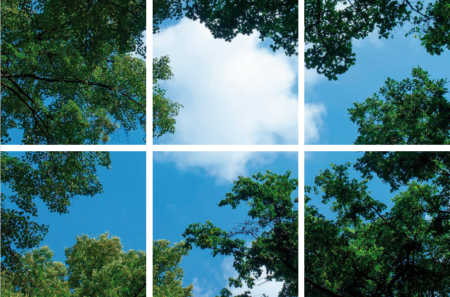 FOTOPRINT afbeelding wolk-bos verdeeld over 6 panelen 595 x 595 mm-0