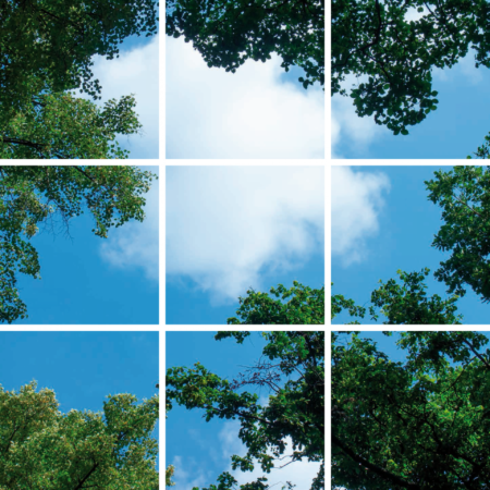 FOTOPRINT afbeelding wolk bos verdeeld over 9 panelen 595 x 595 mm-0