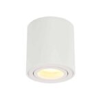 OPBOUWSPOT WIT ROND MET GU10 FITTING-0