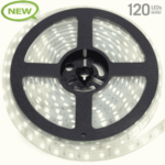 IP22-24V 5 METER 5050/60 10MM-0