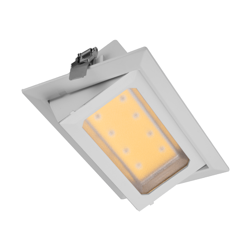 DC240V (1) DOWNLIGHT KANTELBAAR 30W-4661