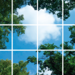 FOTOPRINT afbeelding wolk verdeeld over 12 panelen 595 x 595 mm-0