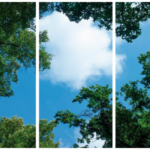 FOTOPRINT afbeelding wolk-bos verdeeld over 3 panelen 1195 x 595 mm-0