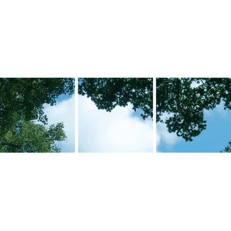 FOTOPRINT afbeelding wolk-bos verdeeld over 3 panelen 595 x 595 mm-0