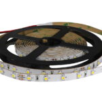IP22-24V 5 METER 3528/60 8MM-0