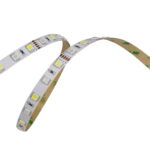 IP22-24V 5 METER 5050/60 10MM RGB+WHITE-0