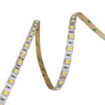 IP22-24V 5 METER 5050/60 10MM-0