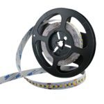 IP22-24V 5 METER 5050/60 10MM-0