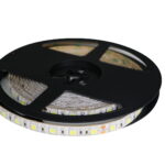 IP65-24V 5 METER 5050/60 10MM-0
