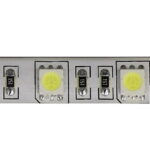IP65-24V 5 METER 5050/60 10MM-0