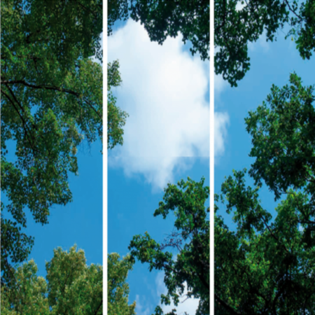 FOTOPRINT afbeelding wolk-bos verdeeld over 3 panelen 1195 x 595 mm-0