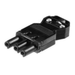 GST18/3 WIELAND STEKKER FEMALE-0