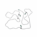 Eurostekker-naar-4x-SWP-3-stekker