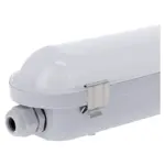 813659-01_WebP